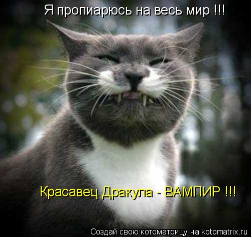 Я пропиарюсь на весь мир !!! Красавец Дракула - ВАМПИР !!!... Котоматрица: Я пропиарюсь на весь мир !!! Красавец Дракула - ВАМПИР !!!