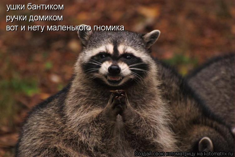 ушки бантиком ручки домиком вот и нету маленького гномика... Котоматрица: ушки бантиком ручки домиком вот и нету маленького гномика
