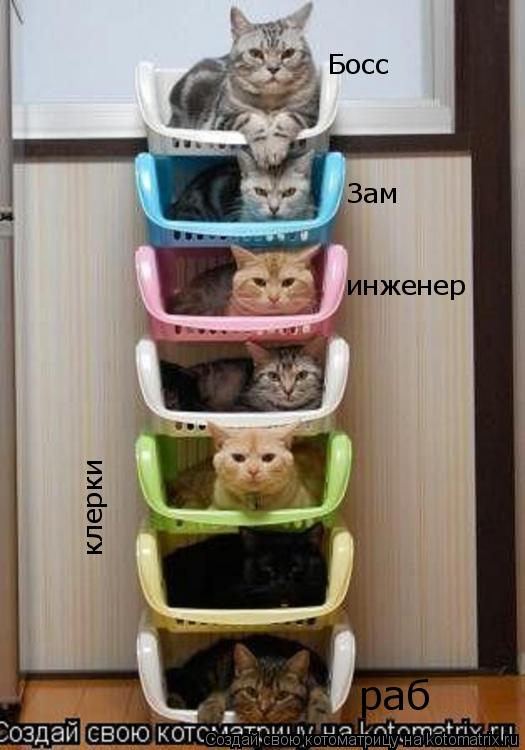 Босс Зам инженер раб клерки... Котоматрица: Босс Зам инженер раб клерки
