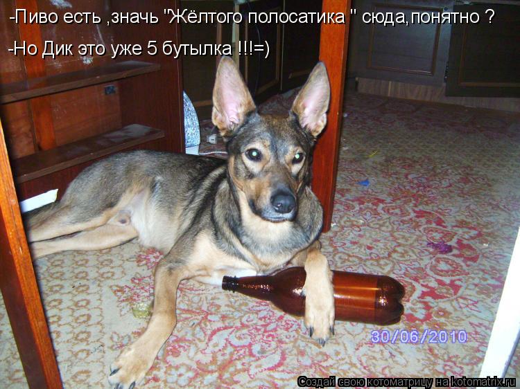 -Пиво есть ,значь "Жёлтого полосатика " сюда,понятно ? -Но Дик это уже 5 бутылка !!!=)... Котоматрица: -Пиво есть ,значь "Жёлтого полосатика " сюда,понятно ? -Но Дик это уже 5 бутылка !!!=)