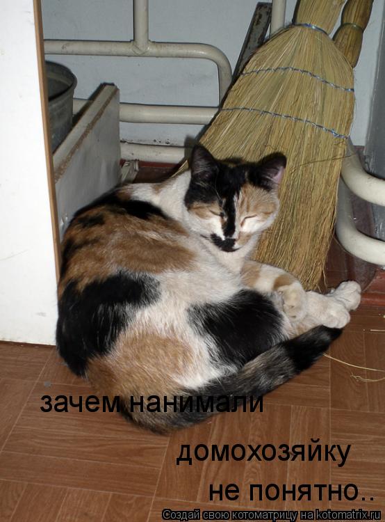 зачем нанимали домохозяйку не понятно..... Котоматрица: зачем нанимали домохозяйку не понятно..