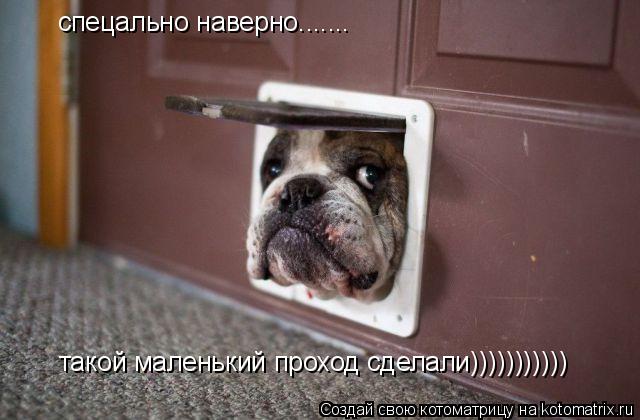спецально наверно....... такой маленький проход сделали))))))))))) такой маленький проход сделали))))... Котоматрица: спецально наверно....... такой маленький проход сделали))))))))))) такой маленький проход сделали)))))))))))
