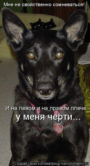 Мне не свойственно сомневаться! И на левом и на правом плече у меня черти...... Котоматрица: Мне не свойственно сомневаться! И на левом и на правом плече у меня черти...