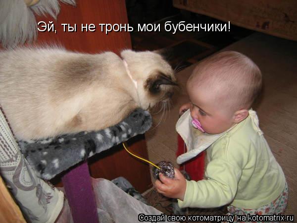 Эй, ты не тронь мои бубенчики!... Котоматрица: Эй, ты не тронь мои бубенчики!