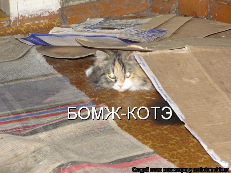 БОМЖ-КОТЭ... Котоматрица: БОМЖ-КОТЭ