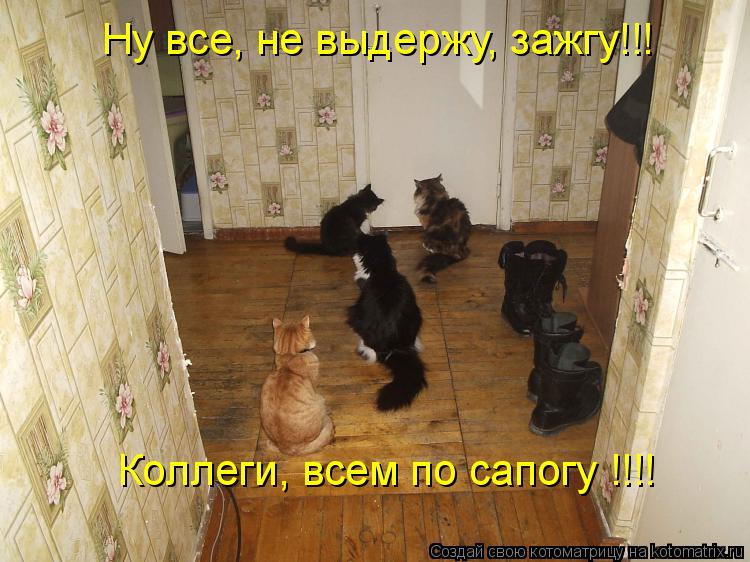 Ну все, не выдержу, зажгу!!! Коллеги, всем по сапогу !!!!... Котоматрица: Ну все, не выдержу, зажгу!!! Коллеги, всем по сапогу !!!!