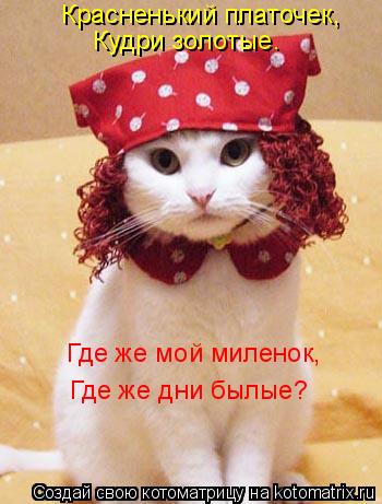 Красненький платочек, Кудри золотые. Где же мой миленок, Где же дни былые?... Котоматрица: Красненький платочек, Кудри золотые. Где же мой миленок, Где же дни былые?