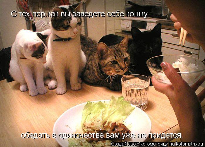 Котоматрица: С тех пор,как вы заведете себе кошку обедать в одиночестве вам уже не придется.