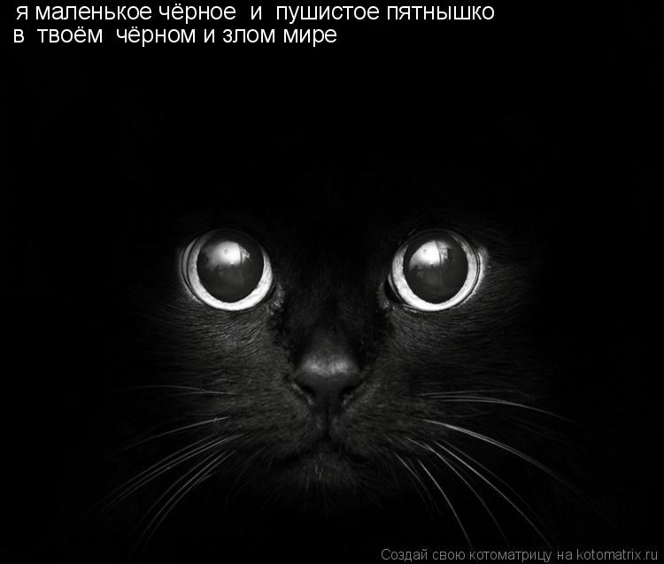 я маленькое чёрное и пушистое пятнышко в твоём чёрном и злом мире... Котоматрица: я маленькое чёрное и пушистое пятнышко в твоём чёрном и злом мире