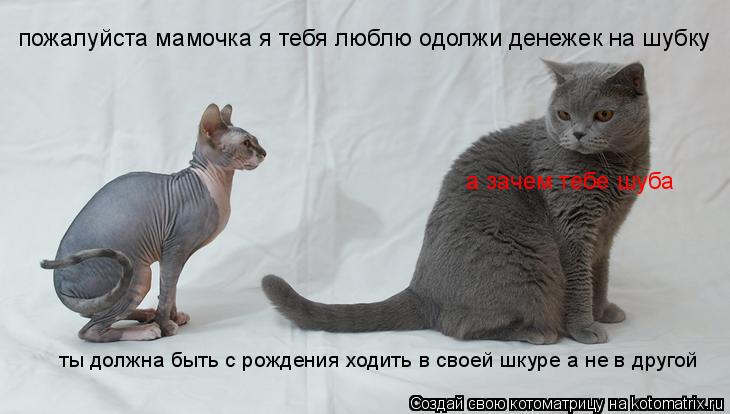 пожалуйста мамочка я тебя люблю одолжи денежек на шубку а зачем тебе шуба ты должна быть с рождения... Котоматрица: пожалуйста мамочка я тебя люблю одолжи денежек на шубку а зачем тебе шуба ты должна быть с рождения ходить в своей шкуре а не в другой