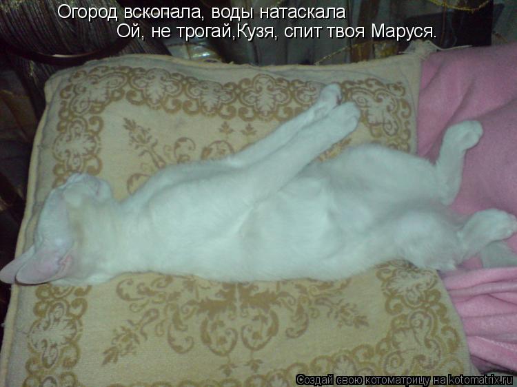 Огород вскопала, воды натаскала Ой, не трогай,Кузя, спит твоя Маруся.... Котоматрица: Огород вскопала, воды натаскала Ой, не трогай,Кузя, спит твоя Маруся.