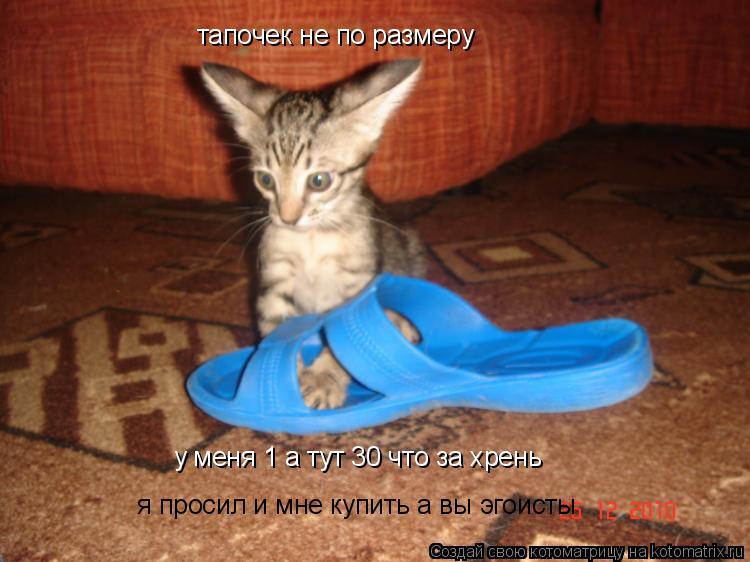 Котоматрица: тапочек не по размеру  у меня 1 а тут 30 что за хрень  я просил и мне купить а вы эгоисты