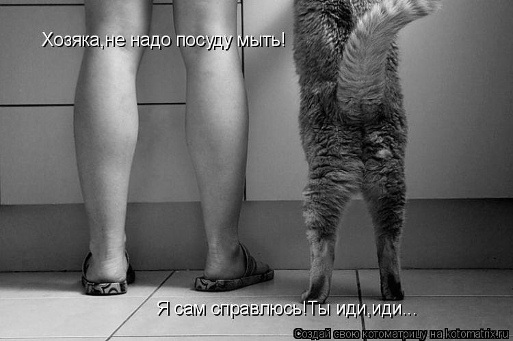Хозяка,не надо посуду мыть! Я сам справлюсь!Ты иди,иди...... Котоматрица: Хозяка,не надо посуду мыть! Я сам справлюсь!Ты иди,иди...