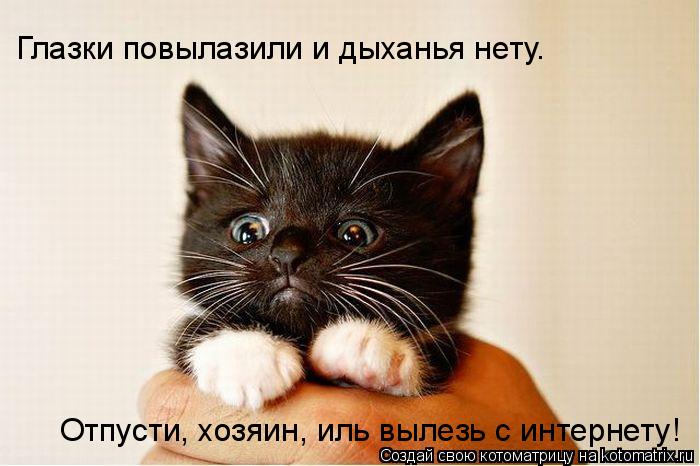 Котоматрица: Отпусти, хозяин, иль вылезь с интернету! Глазки повылазили и дыханья нету.