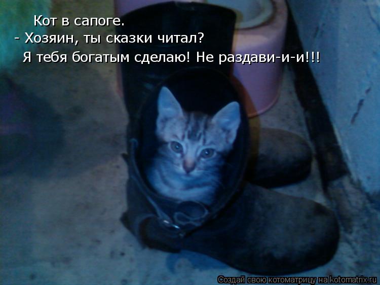 Кот в сапоге. - Хозяин, ты сказки читал? Я тебя богатым сделаю! Не раздави-и-и!!!... Котоматрица: Кот в сапоге. - Хозяин, ты сказки читал? Я тебя богатым сделаю! Не раздави-и-и!!!
