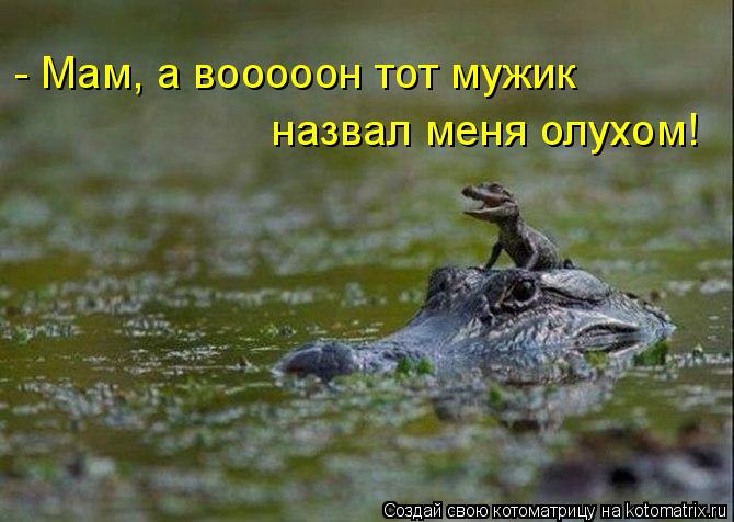 - Мам, а вооооон тот мужик назвал меня олухом!... Котоматрица: - Мам, а вооооон тот мужик назвал меня олухом!