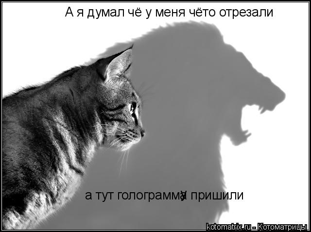 А я думал чё у меня чёто отрезали а тут голограмма пришили у у... Котоматрица: А я думал чё у меня чёто отрезали а тут голограмма пришили у у