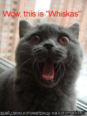 Wow, this is "Whiskas"... Котоматрица: Wow, this is "Whiskas"