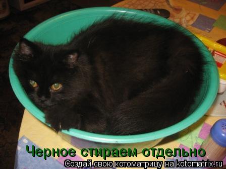 Черное стираем отдельно... Котоматрица: Черное стираем отдельно