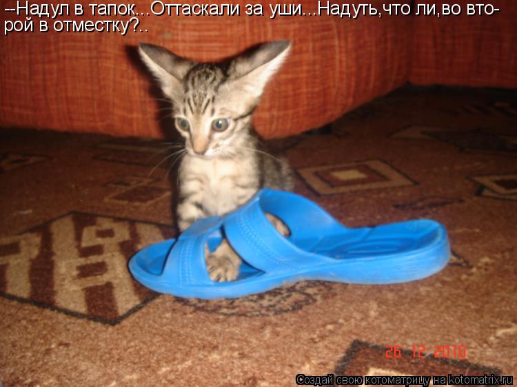 --Надул в тапок...Оттаскали за уши...Надуть,что ли,во вто- рой в отместку?..... Котоматрица: --Надул в тапок...Оттаскали за уши...Надуть,что ли,во вто- рой в отместку?..