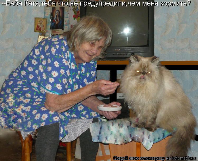 --Баба Катя,тебя что,не предупредили,чем меня кормить?... Котоматрица: --Баба Катя,тебя что,не предупредили,чем меня кормить?