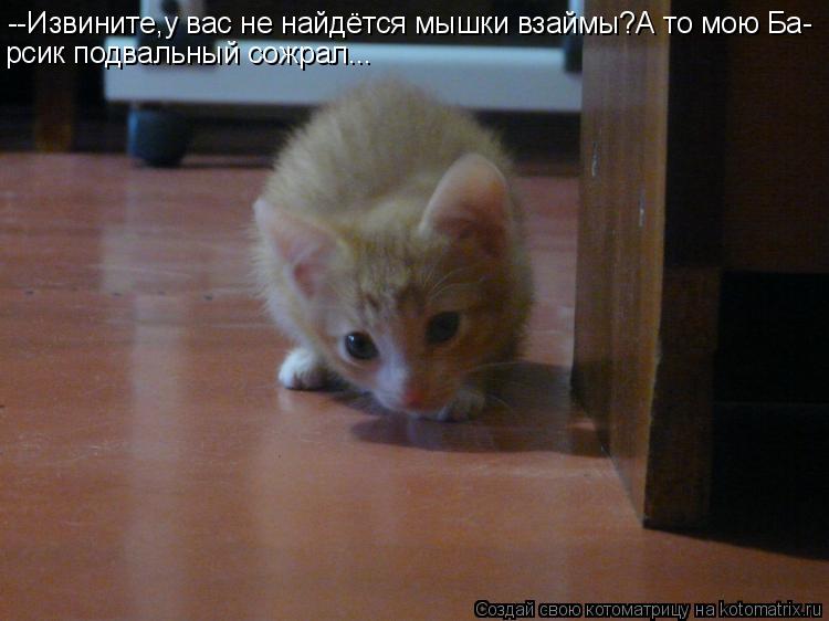 --Извините,у вас не найдётся мышки взаймы?А то мою Ба- рсик подвальный сожрал...... Котоматрица: --Извините,у вас не найдётся мышки взаймы?А то мою Ба- рсик подвальный сожрал...