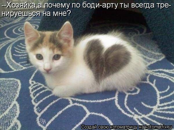 --Хозяйка,а почему по боди-арту ты всегда тре- нируешься на мне?... Котоматрица: --Хозяйка,а почему по боди-арту ты всегда тре- нируешься на мне?
