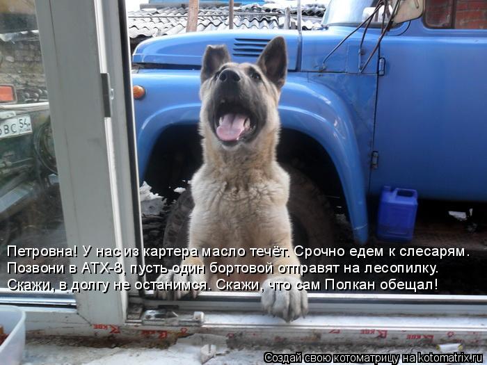 Петровна! У нас из картера масло течёт. Срочно едем к слесарям. Позвони в АТХ-8, пусть один бортовой ... Котоматрица: Петровна! У нас из картера масло течёт. Срочно едем к слесарям. Позвони в АТХ-8, пусть один бортовой отправят на лесопилку. Скажи, в долгу не о