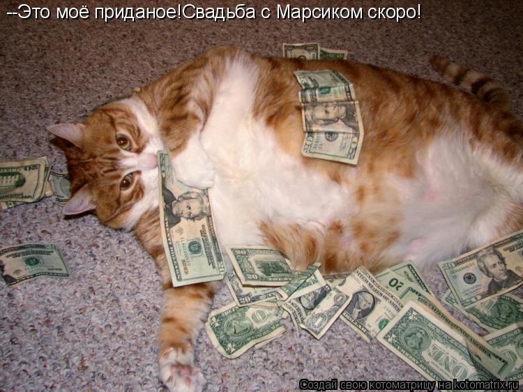 --Это моё приданое!Свадьба с Марсиком скоро!... Котоматрица: --Это моё приданое!Свадьба с Марсиком скоро!
