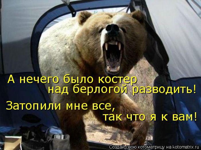 А нечего было костер над берлогой разводить! Затопили мне все, так что я к вам!... Котоматрица: А нечего было костер над берлогой разводить! Затопили мне все, так что я к вам!