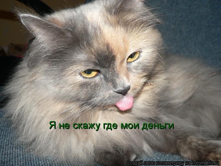 Я не скажу где мои деньги... Котоматрица: Я не скажу где мои деньги