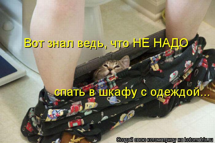Вот знал ведь, что НЕ НАДО спать в шкафу с одеждой...... Котоматрица: Вот знал ведь, что НЕ НАДО спать в шкафу с одеждой...