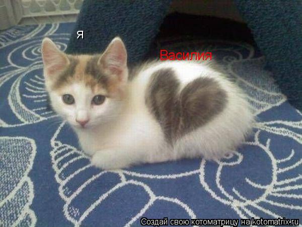 я Василия... Котоматрица: я Василия