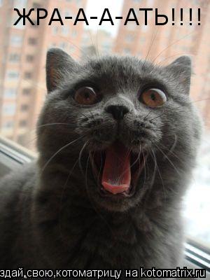 ЖРА-А-А-АТЬ!!!!... Котоматрица: ЖРА-А-А-АТЬ!!!!