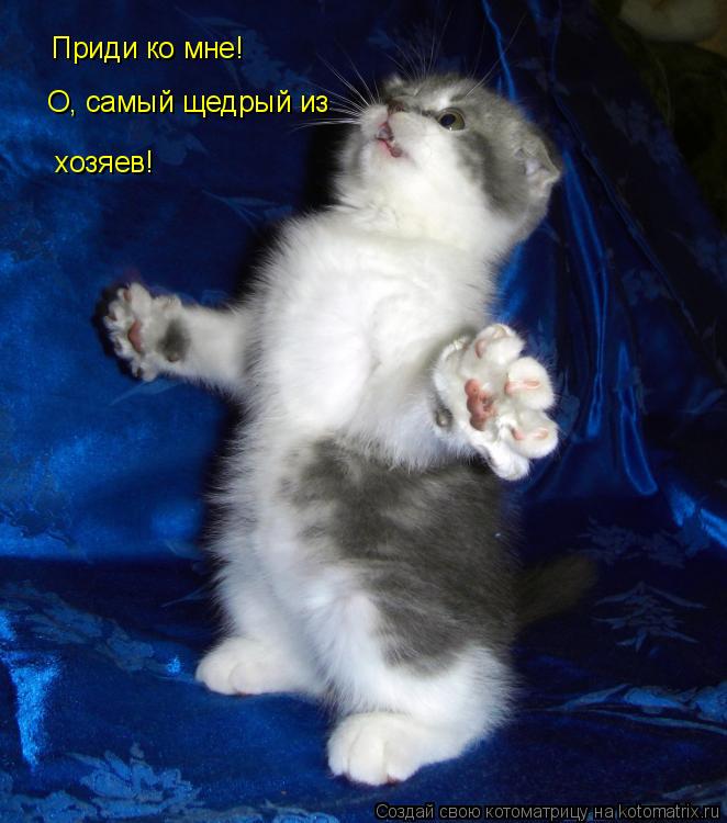 Приди ко мне! О, самый щедрый из хозяев!... Котоматрица: Приди ко мне! О, самый щедрый из хозяев!