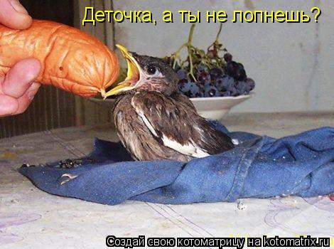 Деточка, а ты не лопнешь?... Котоматрица: Деточка, а ты не лопнешь?