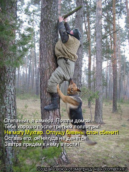 Степаныч, я замёрз. Пошли домой. Тебе хорошо после третьей поллитры! Не могу Мухтар. Отпущу бивень, с... Котоматрица: Степаныч, я замёрз. Пошли домой. Тебе хорошо после третьей поллитры! Не могу Мухтар. Отпущу бивень, слон сбежит! Оставь его, он никуда не дене