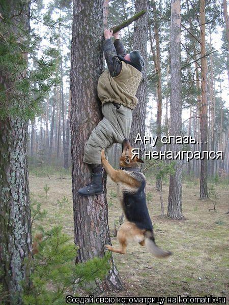 Ану слазь... Я ненаигрался... Котоматрица: Ану слазь... Я ненаигрался