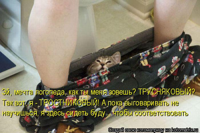 Эй, мечта логопеда, как ты меня зовешь? ТРУСНЯКОВЫЙ? Так вот, я - ТРОСТНИКОВЫЙ! А пока выговаривать н... Котоматрица: Эй, мечта логопеда, как ты меня зовешь? ТРУСНЯКОВЫЙ? Так вот, я - ТРОСТНИКОВЫЙ! А пока выговаривать не научишься, я здесь сидеть буду... чтобы с