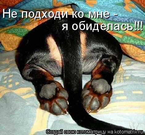 Не подходи ко мне - я обиделась!!!... Котоматрица: Не подходи ко мне - я обиделась!!!