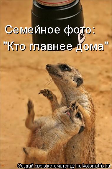 Семейное фото: "Кто главнее дома"... Котоматрица: Семейное фото: "Кто главнее дома"