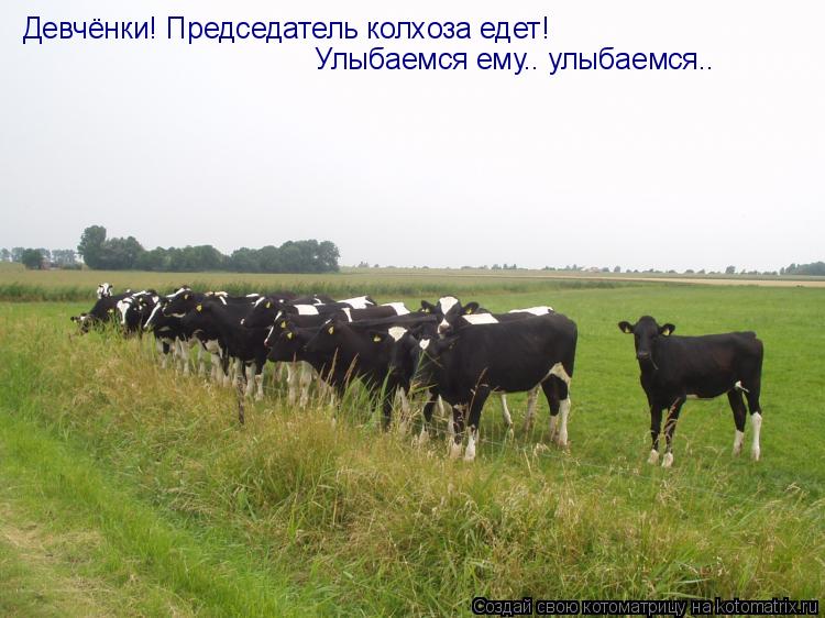 Девчёнки! Председатель колхоза едет! Улыбаемся ему.. улыбаемся..... Котоматрица: Девчёнки! Председатель колхоза едет! Улыбаемся ему.. улыбаемся..
