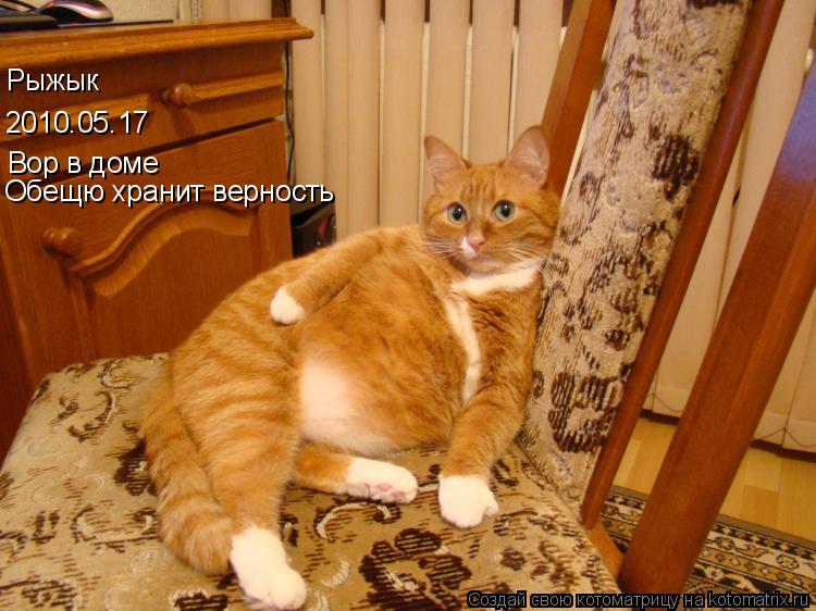 Рыжык 2010.05.17 Вор в доме Обещю хранит верность... Котоматрица: Рыжык 2010.05.17 Вор в доме Обещю хранит верность