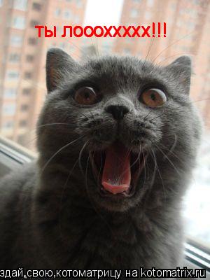 ты лоооххххх!!! ты лоооххххх!!! ты лоооххххх!!! ты лоооххххх!!! ты лоооххххх!!!... Котоматрица: ты лоооххххх!!! ты лоооххххх!!! ты лоооххххх!!! ты лоооххххх!!! ты лоооххххх!!!