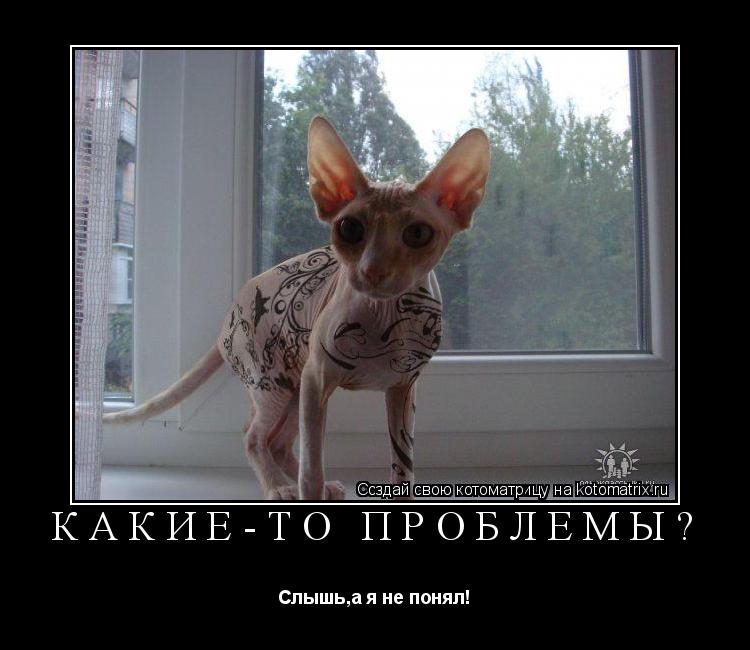 Котоматрица: Какие-то проблемы? Слышь,а я не понял!