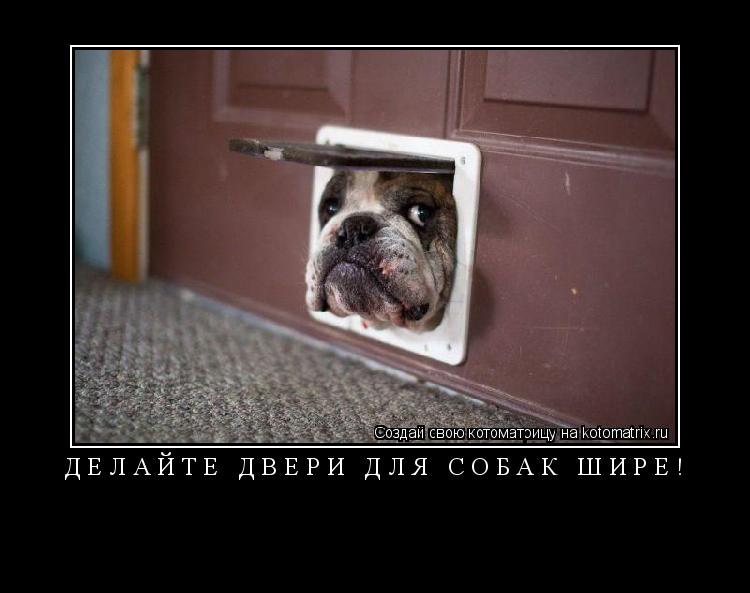 делайте двери для собак шире! ... Котоматрица: делайте двери для собак шире!
