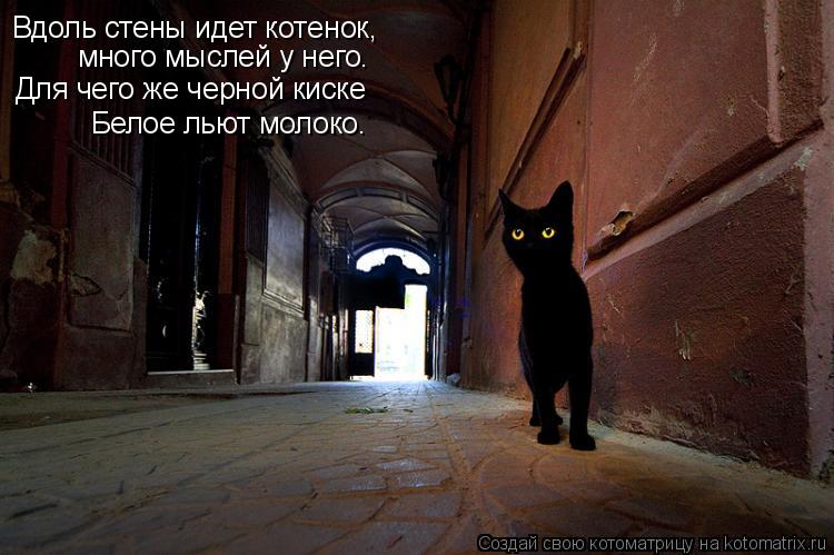 Вдоль стены идет котенок, много мыслей у него. Для чего же черной киске Белое льют молоко.... Котоматрица: Вдоль стены идет котенок, много мыслей у него. Для чего же черной киске Белое льют молоко.