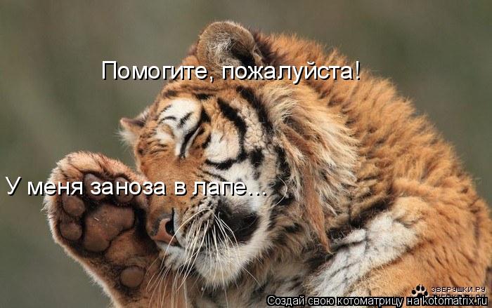 Помогите, пожалуйста! У меня заноза в лапе...... Котоматрица: Помогите, пожалуйста! У меня заноза в лапе...