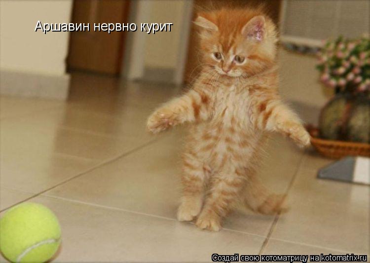 Аршавин нервно курит... Котоматрица: Аршавин нервно курит