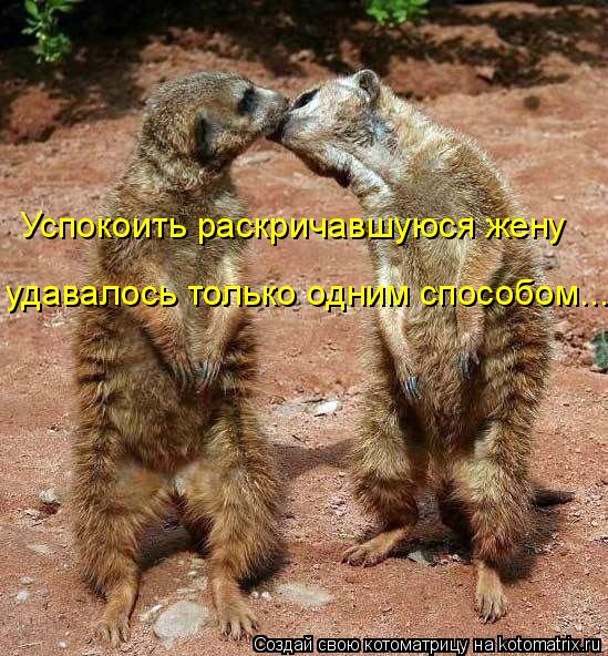 Успокоить раскричавшуюся жену удавалось только одним способом...... Котоматрица: Успокоить раскричавшуюся жену удавалось только одним способом...